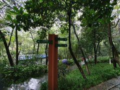 -杭州半山国家森林公园