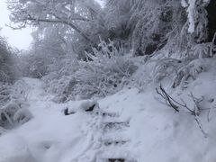 -九峰山