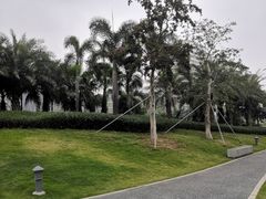 -宝安西湾红树林湿地公园