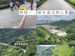 -阳台山森林公园