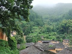 -杨家堂村