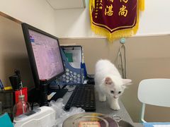 -安安宠医·臻爱宠物医院·宠保定点(营门口路分院)