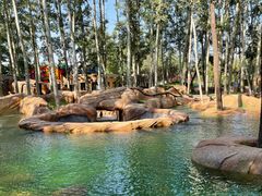 -北京野生动物园