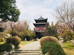 -堤角公园