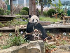 -大连森林动物园