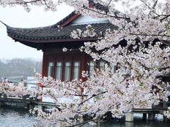 -宝龙城(杭州滨江店)