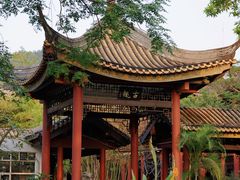 -顺峰山公园