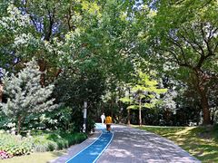 -苏州河梦清园环保主题公园