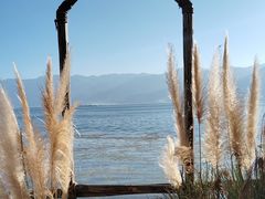 -六阅·福十 FORTEN 海景咖啡西餐厅(双廊古镇店)