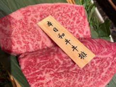 -老乾杯(深圳湾万象城店)