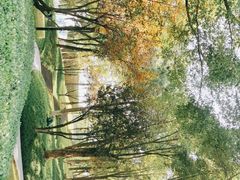 -重庆市江北嘴中央商务区中央公园