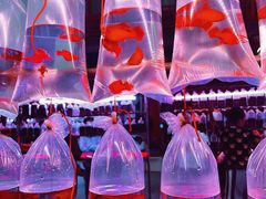 -华声天桥民俗文化园