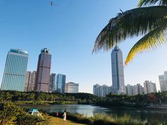 -万绿园