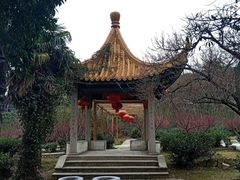 -雨花胜境