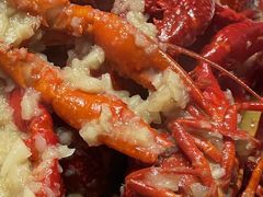 -杨氏青龙虾·羊蝎子(托乐嘉店)