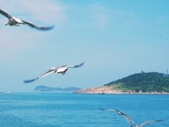 -海驴岛(荣成市)