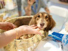 -国际非物质文化遗产博览园