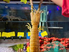 -辉记炭烧海鲜大排档·老字号(福田店)