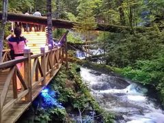 -峡谷浮石林景区