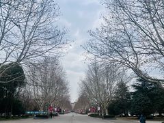 -东华大学(松江校区)