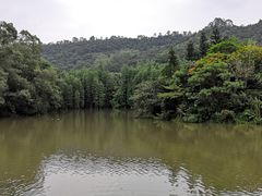 -滴水岩森林公园