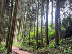 -青城山