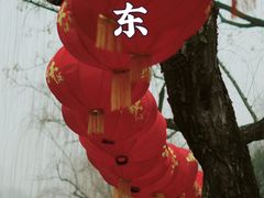 -趵突泉景区