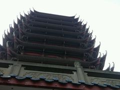-眉山湿地公园(东坡区)