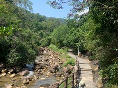 -广州白江湖森林公园