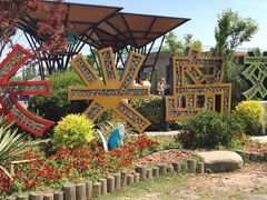 -上海长兴岛郊野公园