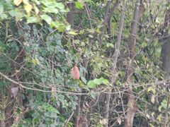 -九华秋浦胜境大王洞风景区