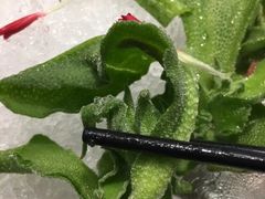 -荔枝苑养生餐厅(尊尚领地店)