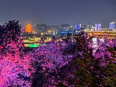 -古琴台
