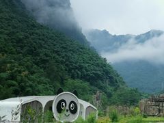 -熊猫主题餐厅