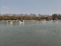 -宜兴龙背山森林公园
