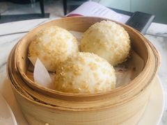 -唐阁海景中餐厅·早茶·粤菜•生日聚餐(海口朗廷酒店)