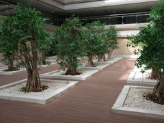 -南京禄口机场雅高铂尔曼大酒店