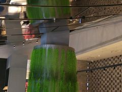 -望京辣宴·古法川菜(望京店)