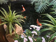 -聚缘堂·海鲜私房菜(松岭路店)