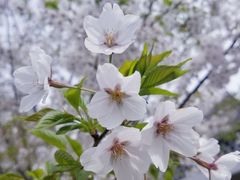 景点-陶然亭公园