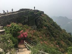-木兰云雾山