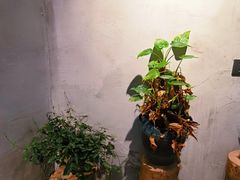 -25#COFFEE(古地石店)