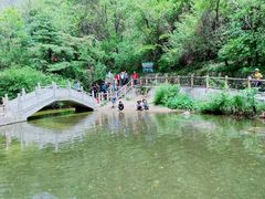 -王顺山国家森林公园