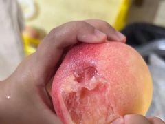 -老袁家蜜桃农场·阳山水蜜桃