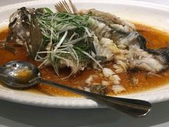 -厦门渔港(成山路店)