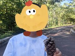 -合肥滨湖国家森林公园