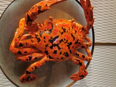 -海逸海鲜酒家(古北店)