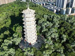 -深圳国际园林花卉博览园