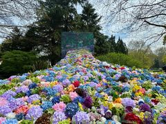 -上海共青森林公园