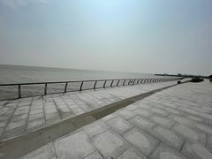 -瀛洲公园